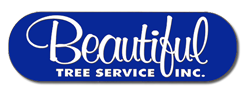 Beautiful Tree Service Inc.